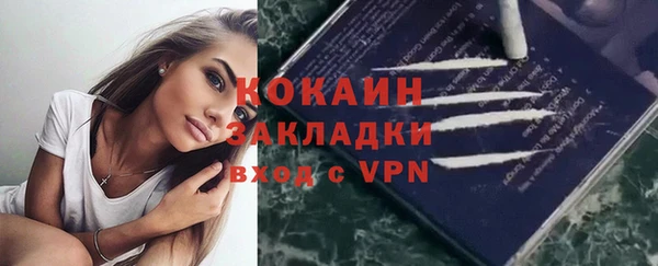 дмт Гусев