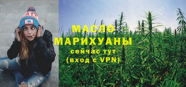 индика Горняк