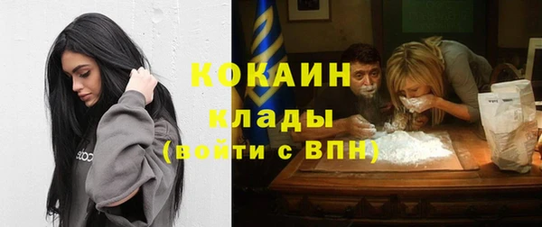 дмт Гусев