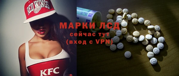 дмт Гусев