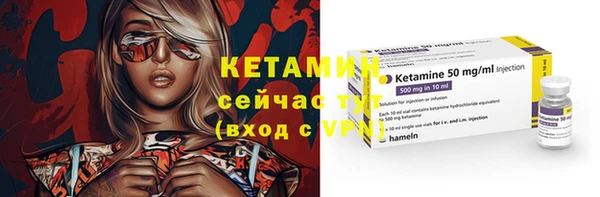 дмт Гусев