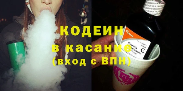 индика Горняк