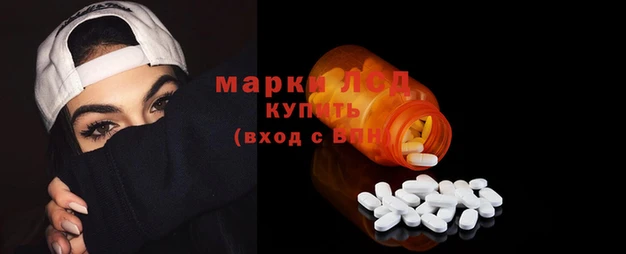 дмт Гусев