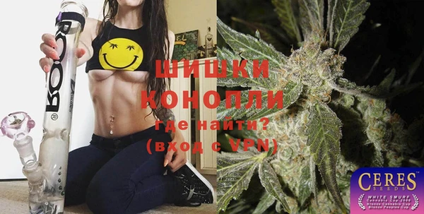 дмт Гусев